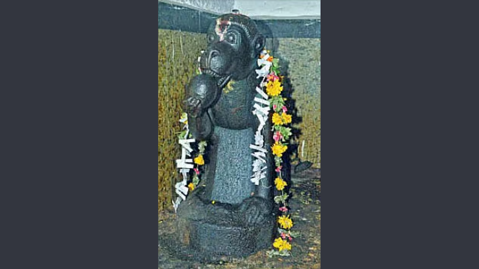 தமிழ் எழுத்துக்களைக் குறிக்கும் 247 படிகள்.