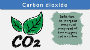 Carbon dioxide