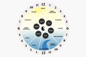 Body clock