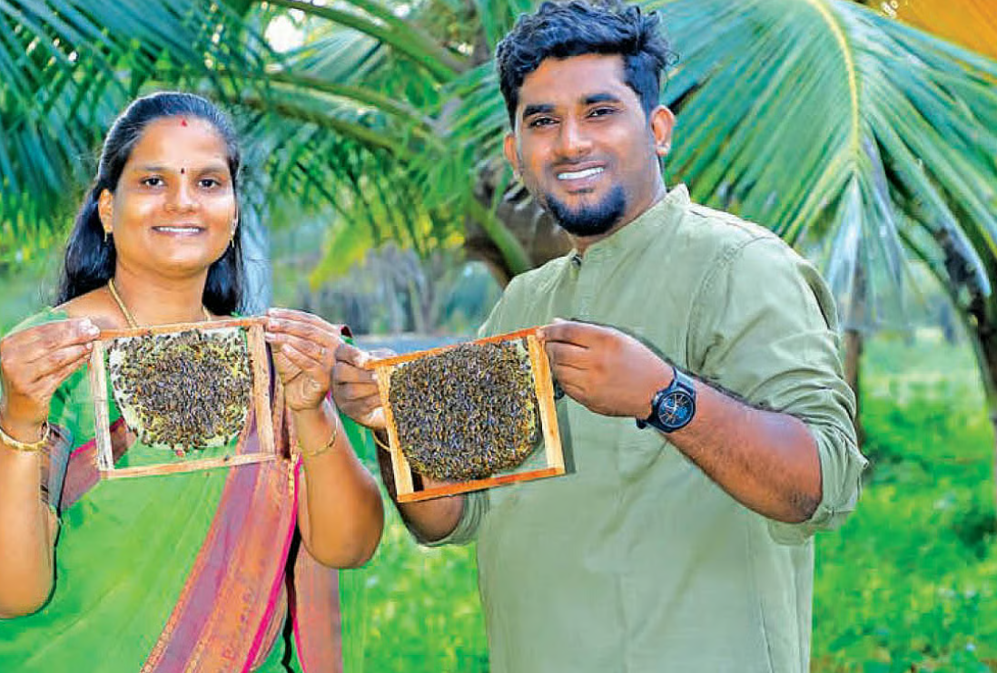 அறுங்கோண தேன்கூட்டின் உள்ளே தேன் நிரம்பிய செல்கள்.