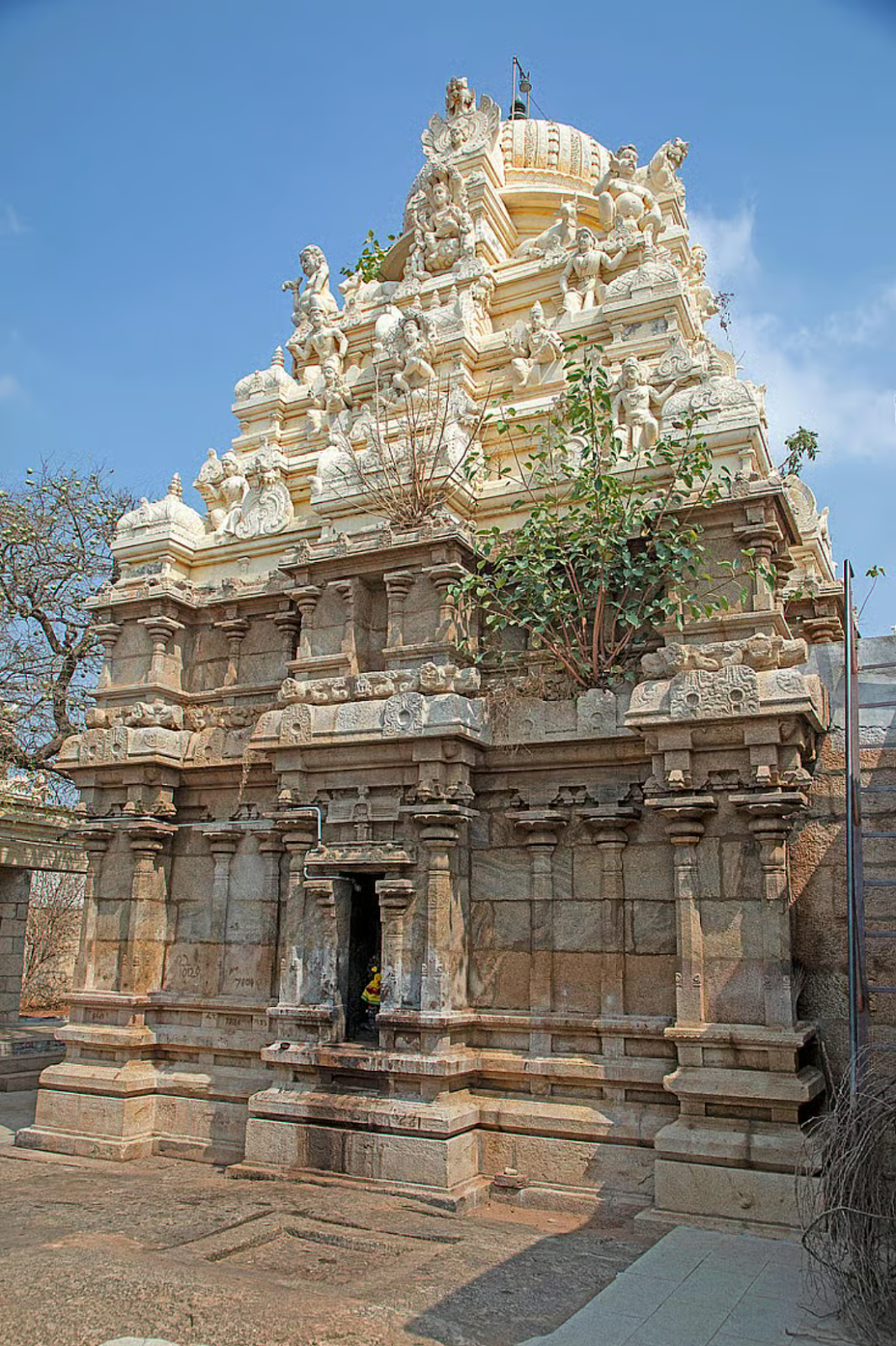 காஞ்சி மகா பெரியவர் ராட்சாண்டார் திருமலை சுனையில்.