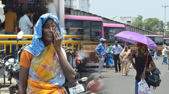 பசிபிக் பெருங்கடலில் உருவாகி வரும் சூப்பர் எல் நினோ, தமிழக காலநிலையை கடுமையாக பாதிக்கும் என எச்சரிக்கை.