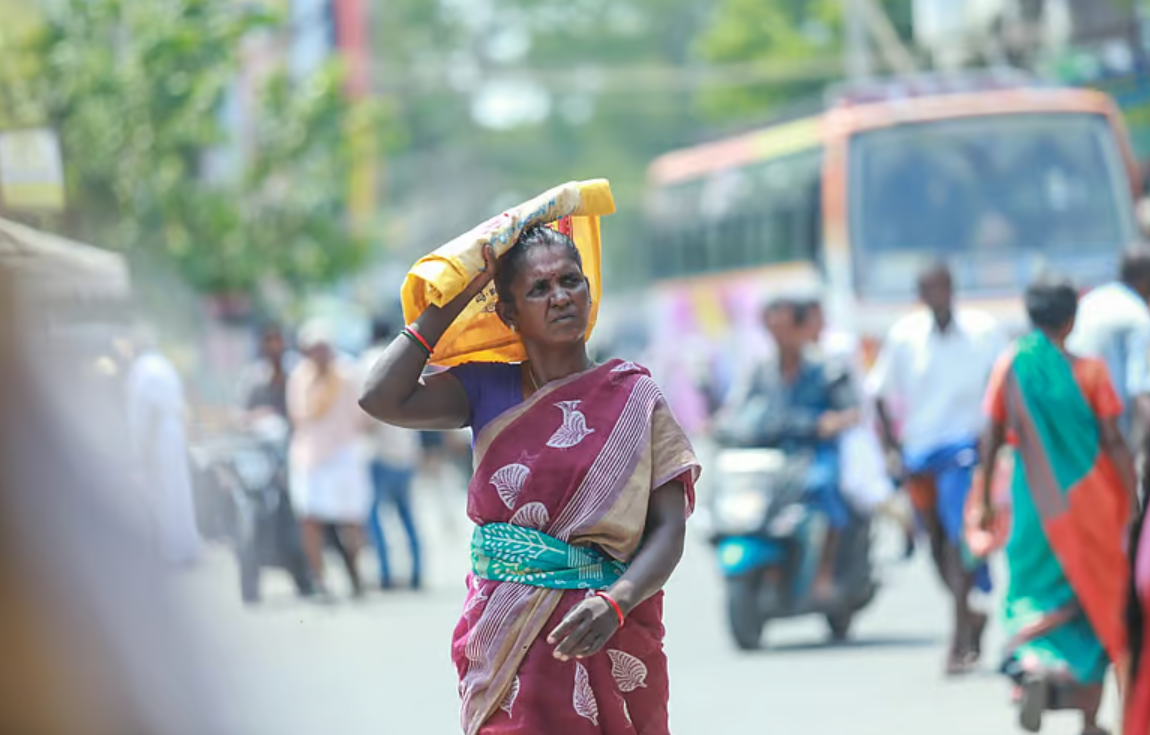 நகர்ப்புற காடுகள் அழிப்பு