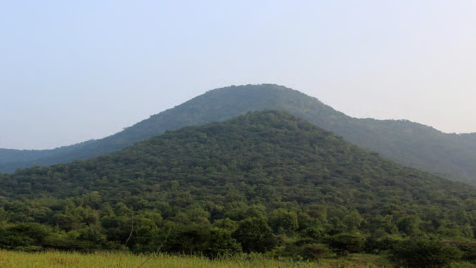 அமெரிக்கத் தமிழர் நரேந்திரன் கந்தசாமி கடவூர் வளர்ச்சித் திட்டத்தை முன்வைக்கும் புகைப்படம்.