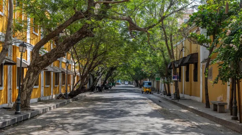 நகர்ப்புற வெப்பத்தைத் தணிக்க பசுமைக் கூரைகள் மற்றும் மரங்களை வளர்த்தல்
