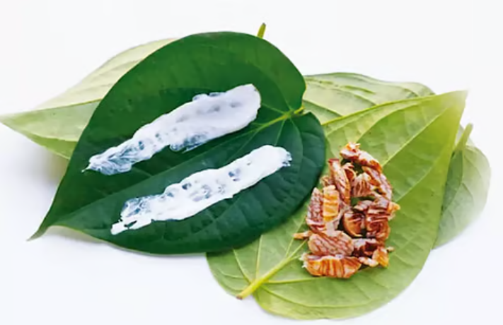 பாரம்பரியம் vs நவீன மருத்துவச் சவால்கள்.