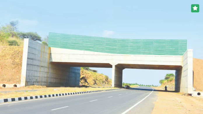 மதுரை அருகே கட்டப்பட்டு வரும் வனவிலங்கு மேம்பாலத்தின் மாதிரி தோற்றம் அல்லது கட்டுமானப் பணி